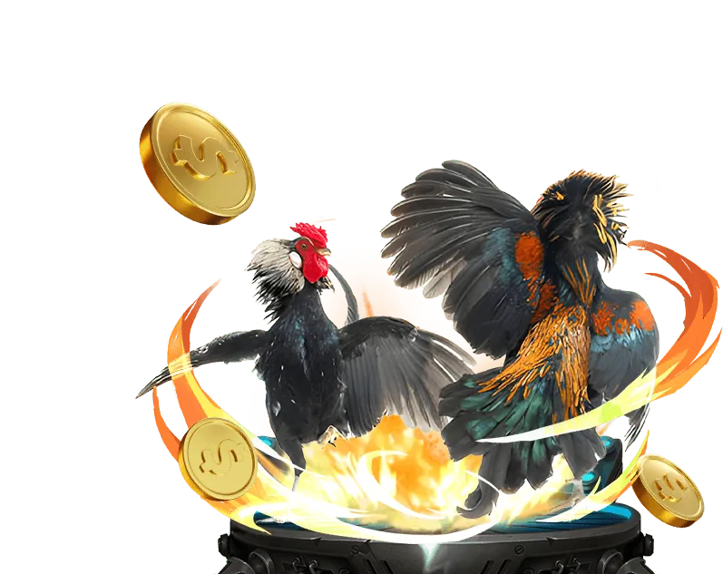 Chương trình VIP FB88