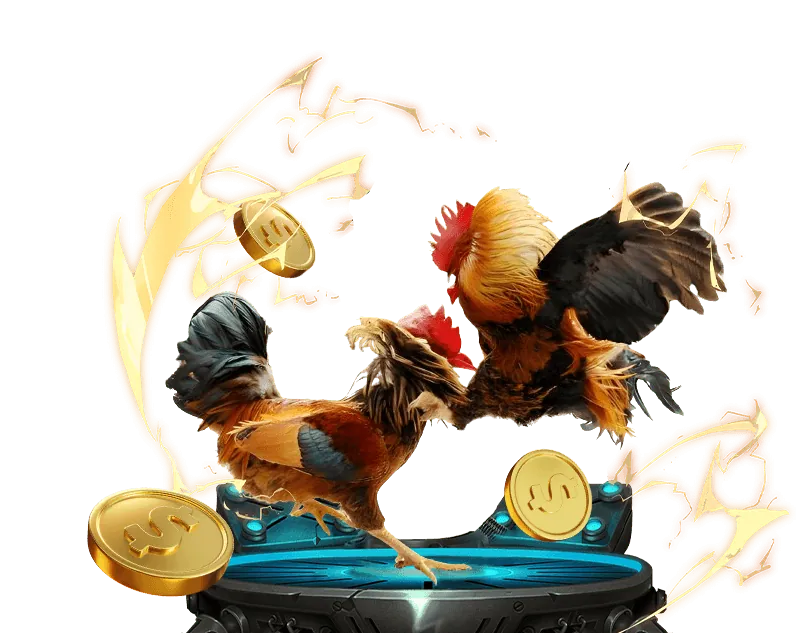 Môi trường cá cược an toàn FB88